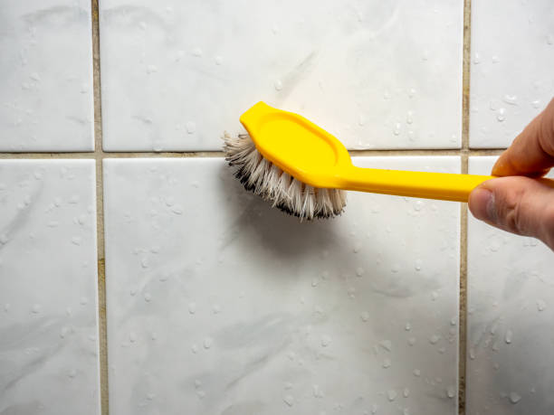 Best Black Mold Remediation in Ormond Beach, FL